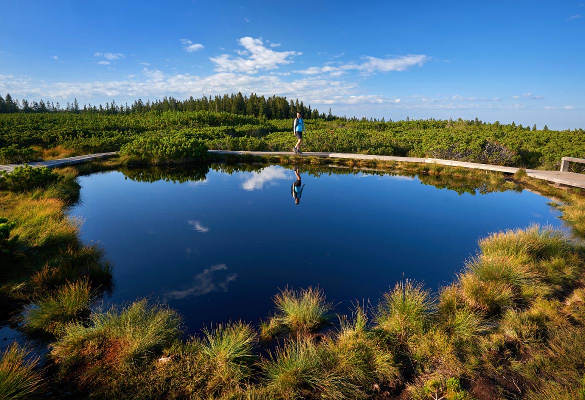 A pleasant hiking trail to the Lovren Lakes leads through the Rogla plains